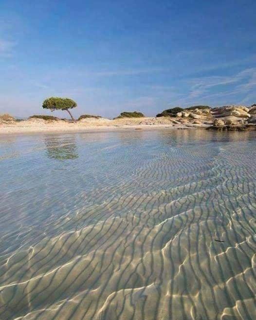 Villa Elea Vourvourou Exteriér fotografie